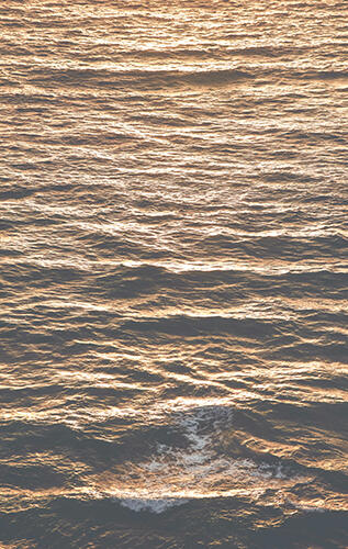 Ocean Habitats Ocean Habitats